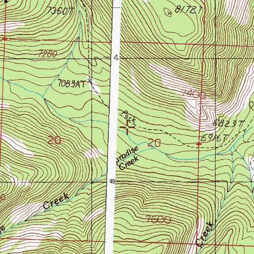 Topographic Map of Paradise Creek, ID