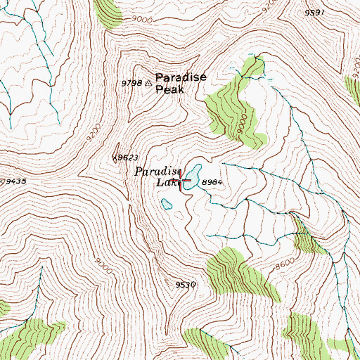 Topographic Map of Paradise Lake, ID