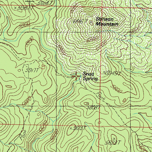 Topographic Map of Snag Spring, AZ