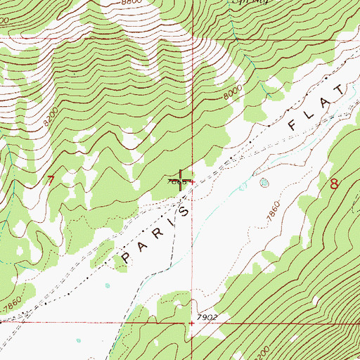 Topographic Map of Paris Flat, ID