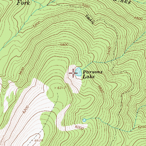 Topographic Map of Parsons Lake, ID