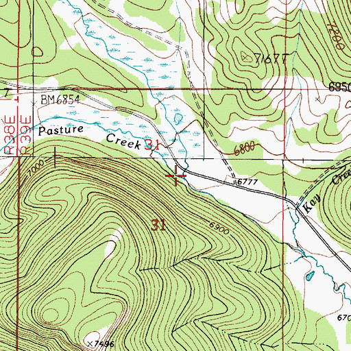 Topographic Map of Pasture Creek, ID
