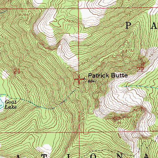 Topographic Map of Patrick Butte, ID