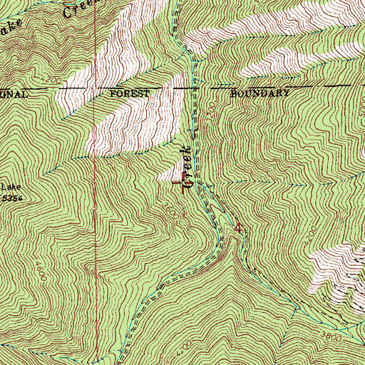Topographic Map of Patrick Creek, ID
