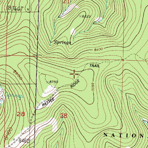 Topographic Map of Pattee Ridge Trail, ID