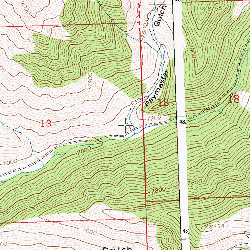 Topographic Map of Paymaster Gulch, ID