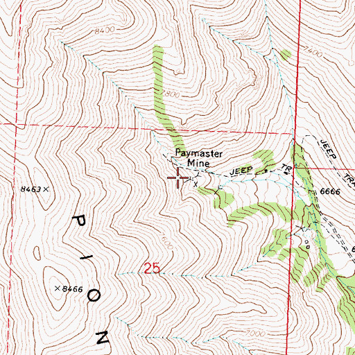 Topographic Map of Paymaster Mine, ID