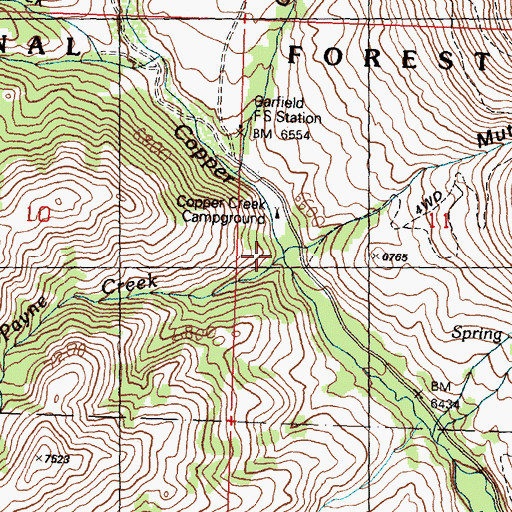 Topographic Map of Payne Creek, ID