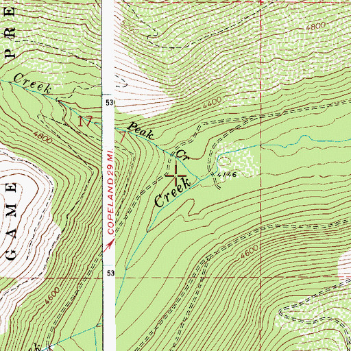 Topographic Map of Peak Creek, ID