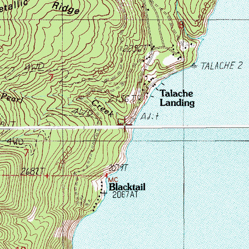 Topographic Map of Pearl Creek, ID