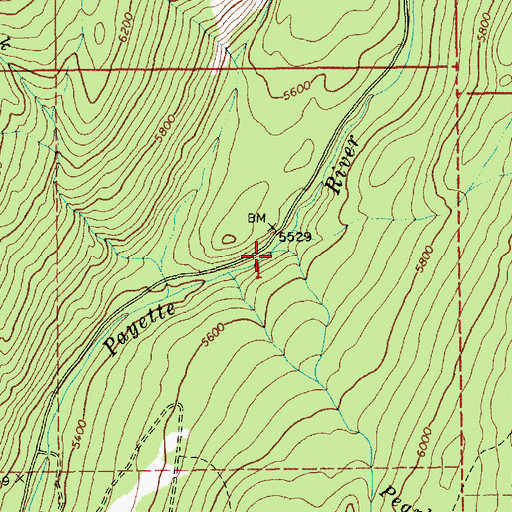 Topographic Map of Pearl Creek, ID