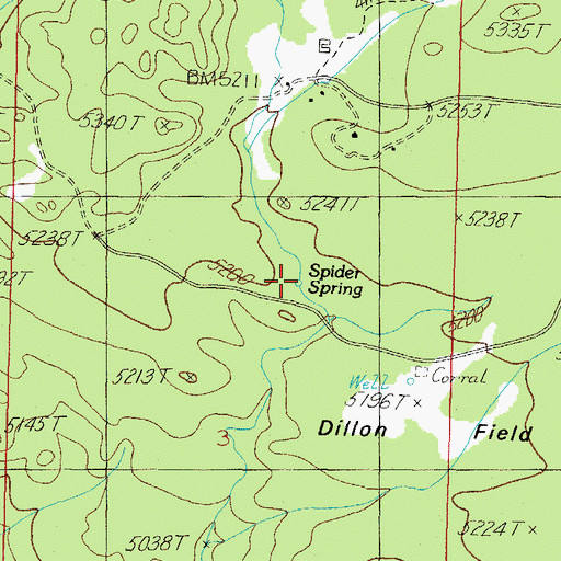 Topographic Map of Spider Spring, AZ