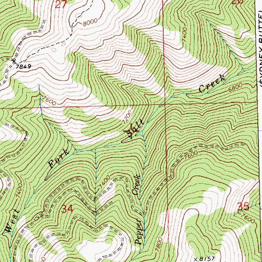 Topographic Map of Pepper Creek, ID