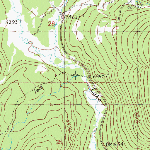 Topographic Map of Pete Creek, ID
