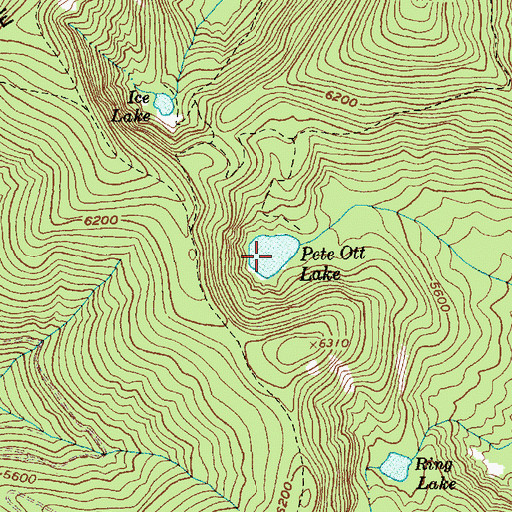 Topographic Map of Pete Ott Lake, ID