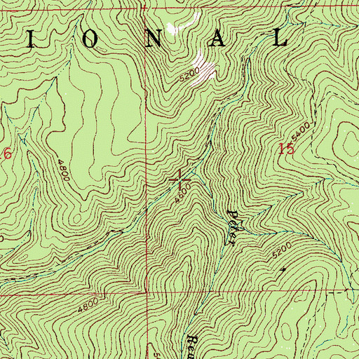 Topographic Map of Peter Ready Creek, ID