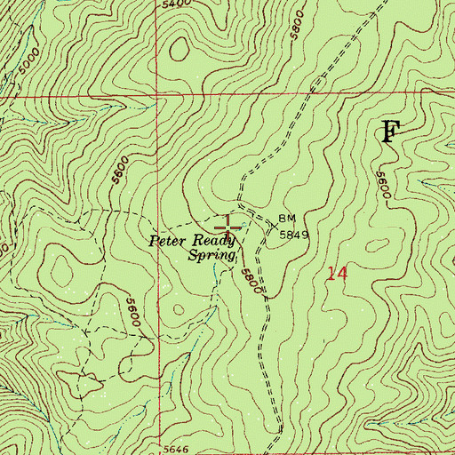 Topographic Map of Peter Ready Spring, ID