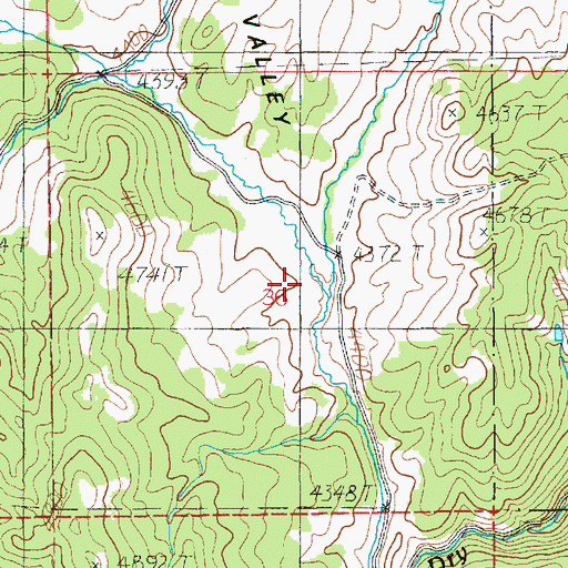 Topographic Map of Peterson Creek, ID