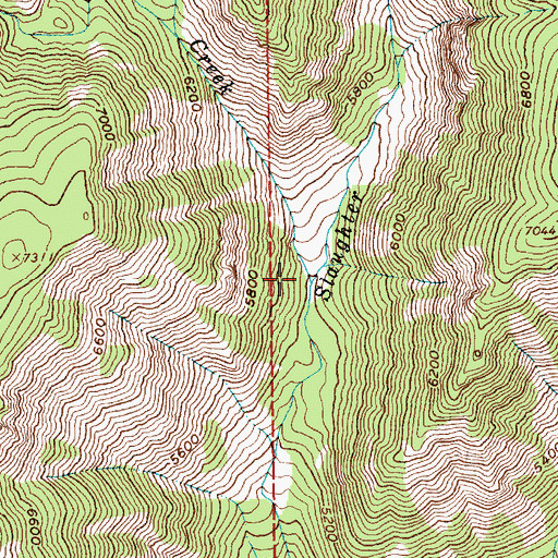 Topographic Map of Peterson Creek, ID