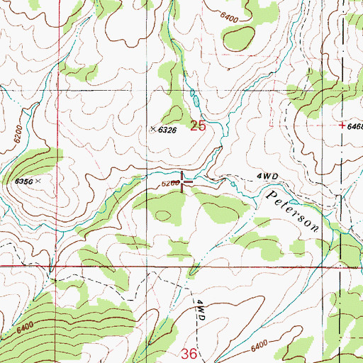 Topographic Map of Peterson Creek, ID