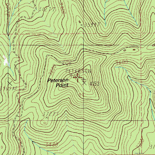 Topographic Map of Peterson Point, ID