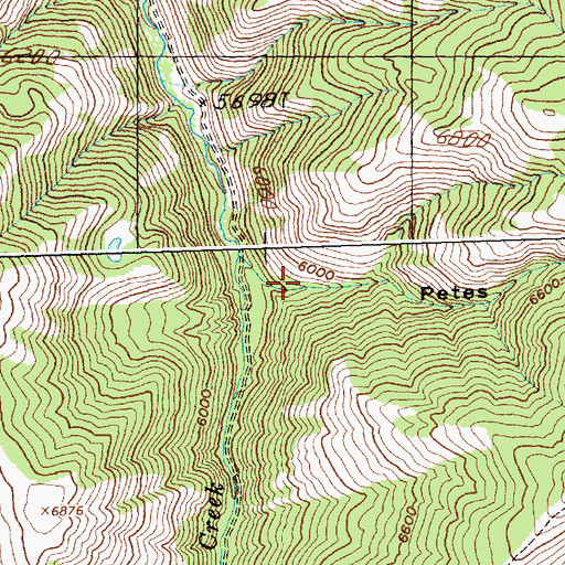 Topographic Map of Petes Gulch, ID