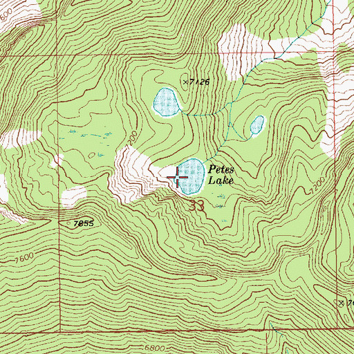 Topographic Map of Petes Lake, ID