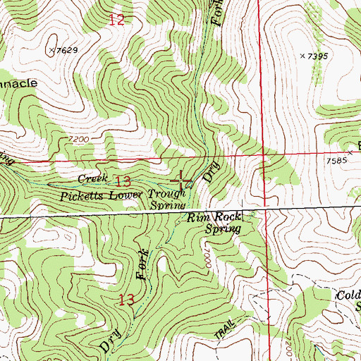 Topographic Map of Pickett Spring Creek, ID
