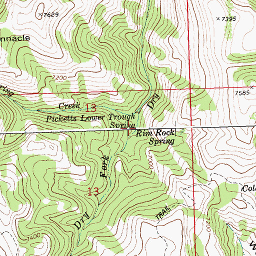 Topographic Map of Picketts Lower Trough Spring, ID