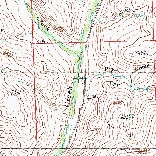 Topographic Map of Pig Creek, ID