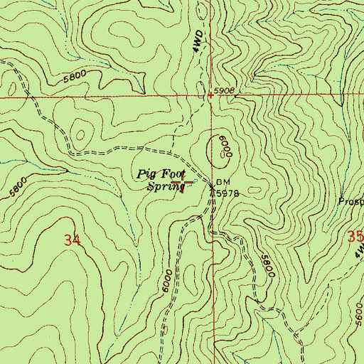 Topographic Map of Pig Foot Spring, ID