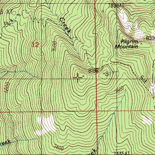 Topographic Map of Pilgrim Mountain, ID