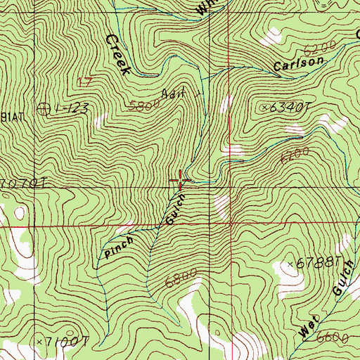 Topographic Map of Pinch Gulch, ID