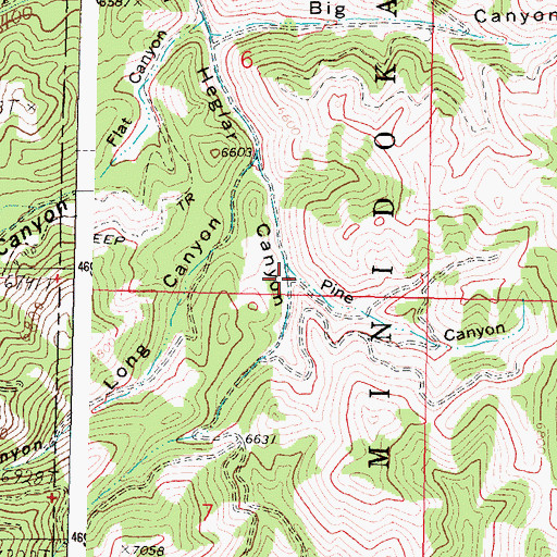 Topographic Map of Pine Canyon, ID
