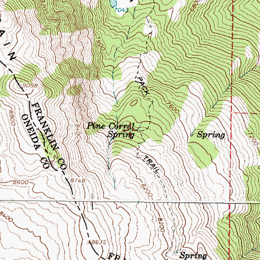 Topographic Map of Pine Corral Spring, ID