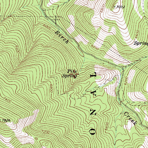 Topographic Map of Pine Spring, ID