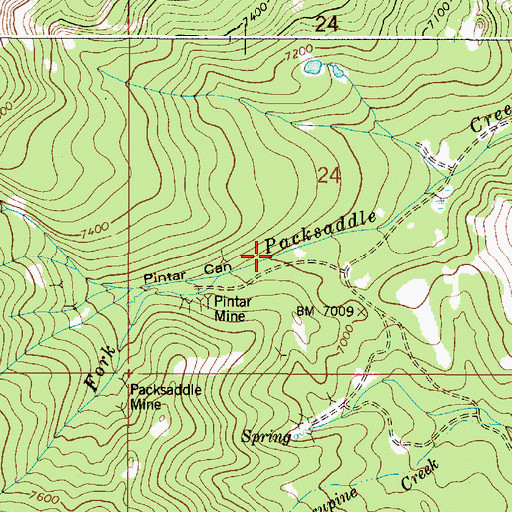 Topographic Map of Pintar Canyon, ID