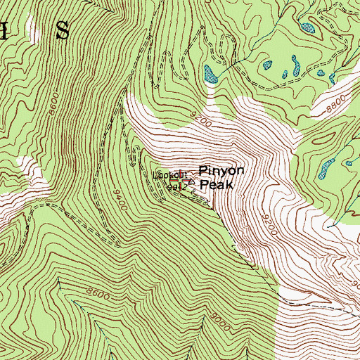 Topographic Map of Pinyon Peak, ID