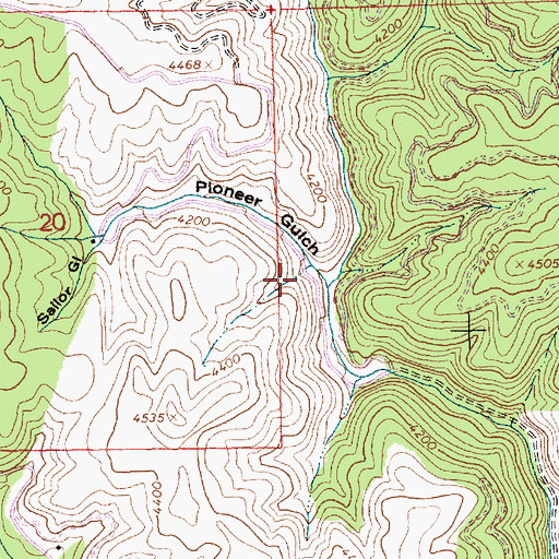 Topographic Map of Pioneer Gulch, ID