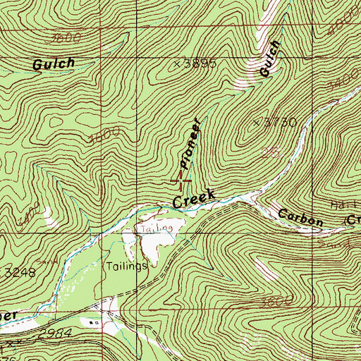 Topographic Map of Pioneer Gulch, ID
