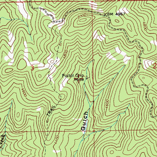 Topographic Map of Pistol Grip Mine, ID