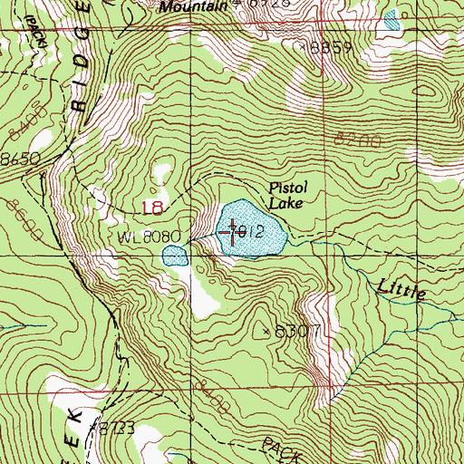 Topographic Map of Pistol Lake, ID
