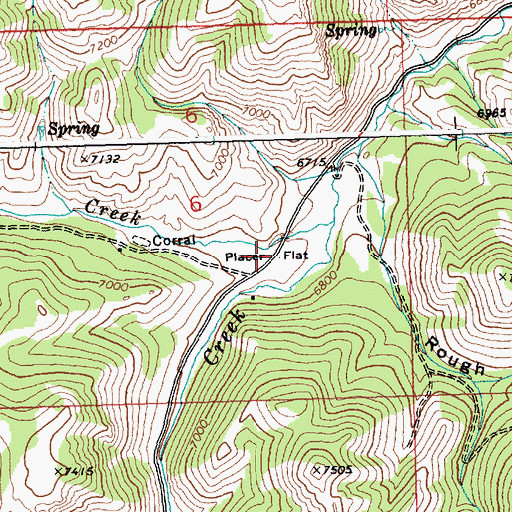 Topographic Map of Placer Flat, ID