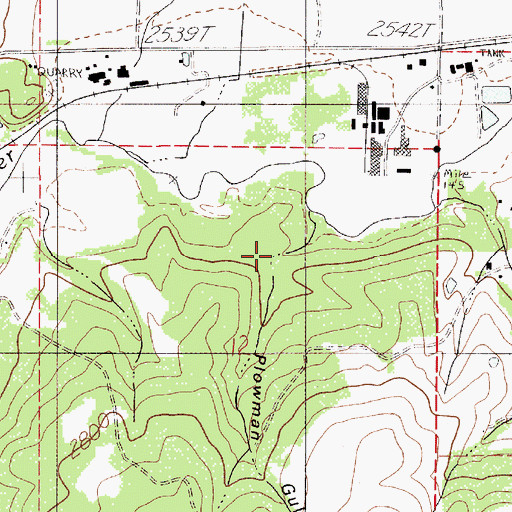Topographic Map of Plowman Gulch, ID
