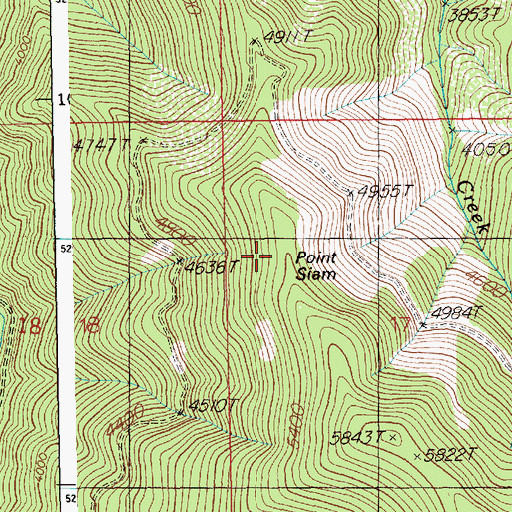 Topographic Map of Point Siam, ID
