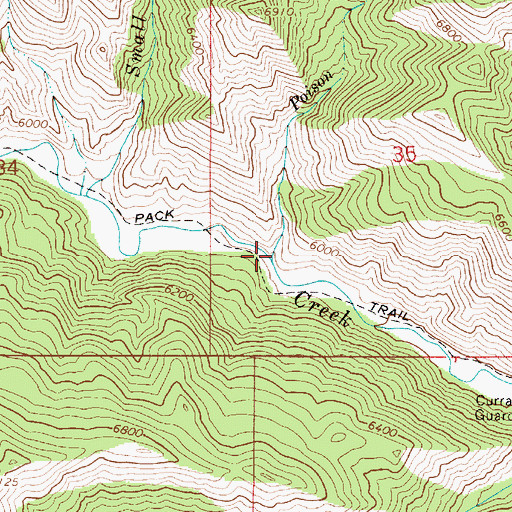 Topographic Map of Poison Creek, ID