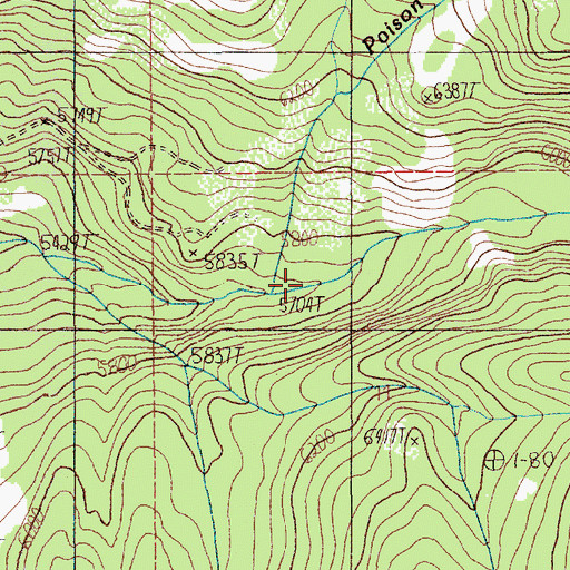 Topographic Map of Poison Creek, ID