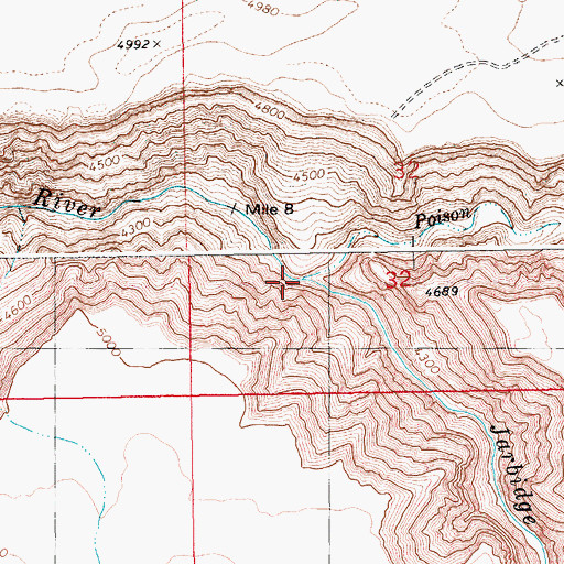 Topographic Map of Poison Creek, ID