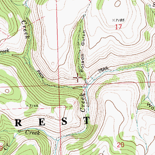 Topographic Map of Poison Gulch, ID