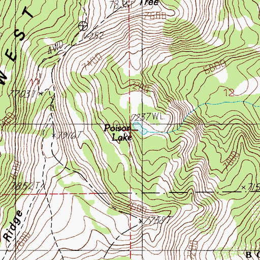 Topographic Map of Poison Lake, ID